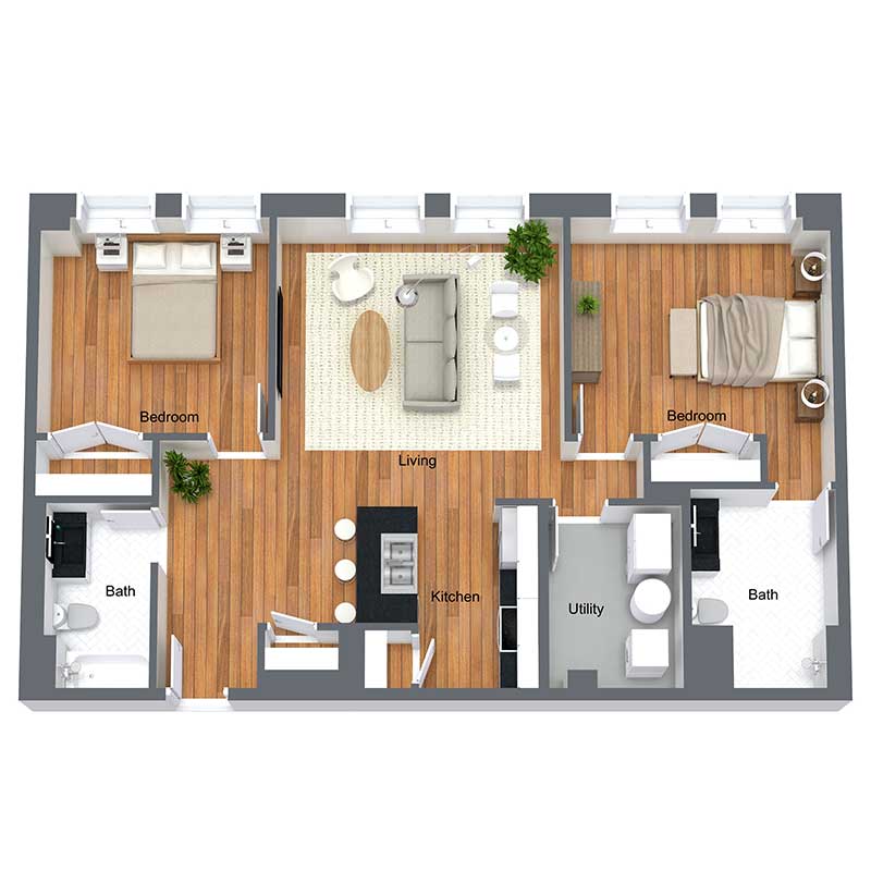 Informative Picture of Beech