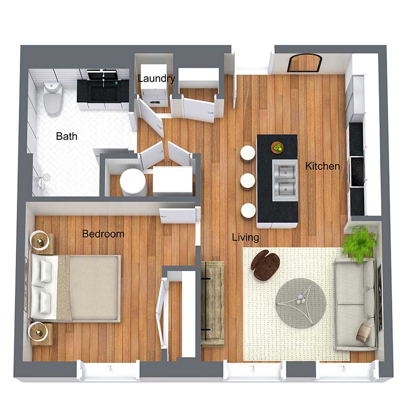 Informative Picture of Birch