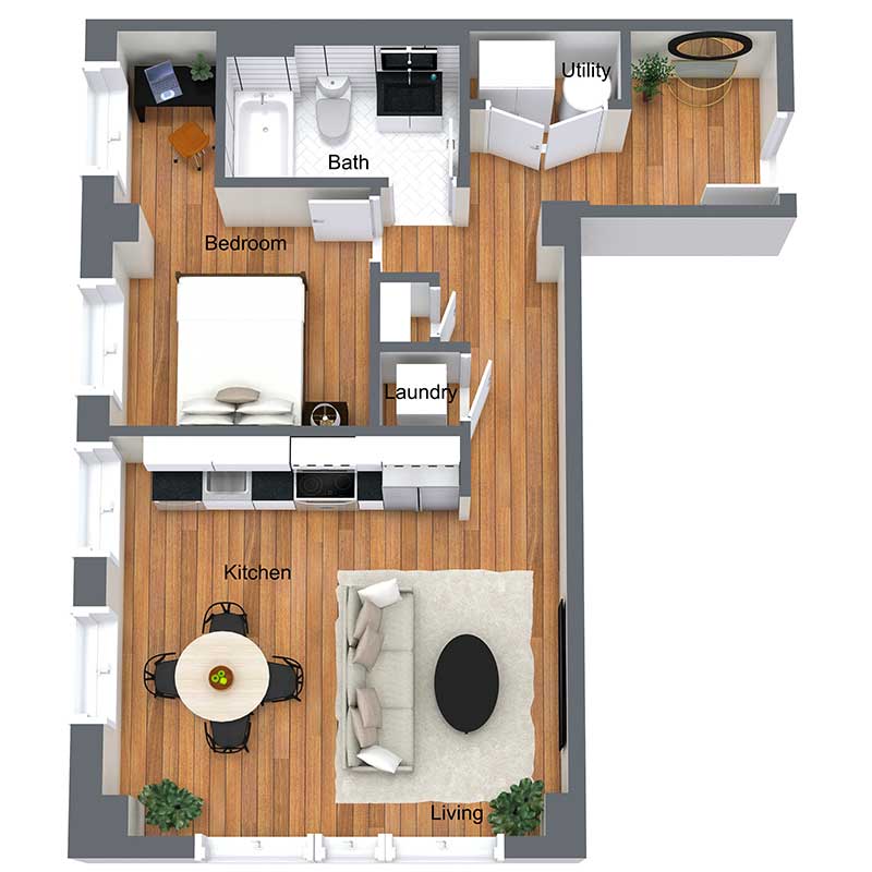 Informative Picture of Oak