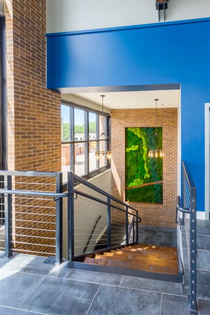 Green-Inspired Wall Decorations at 225 Sycamore Apartments in Wichita, KS