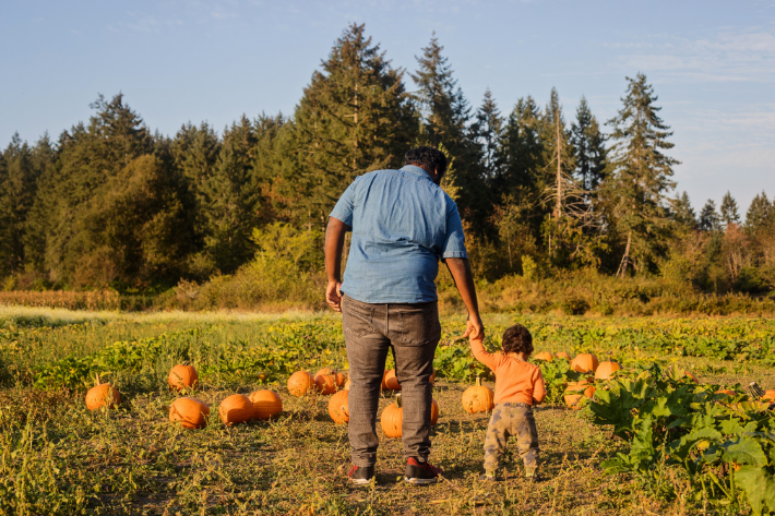 Image for Favorite Fall Activities in Lincolnshire