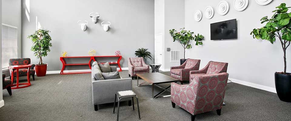 Shared Lounge Area at Abbey Lane