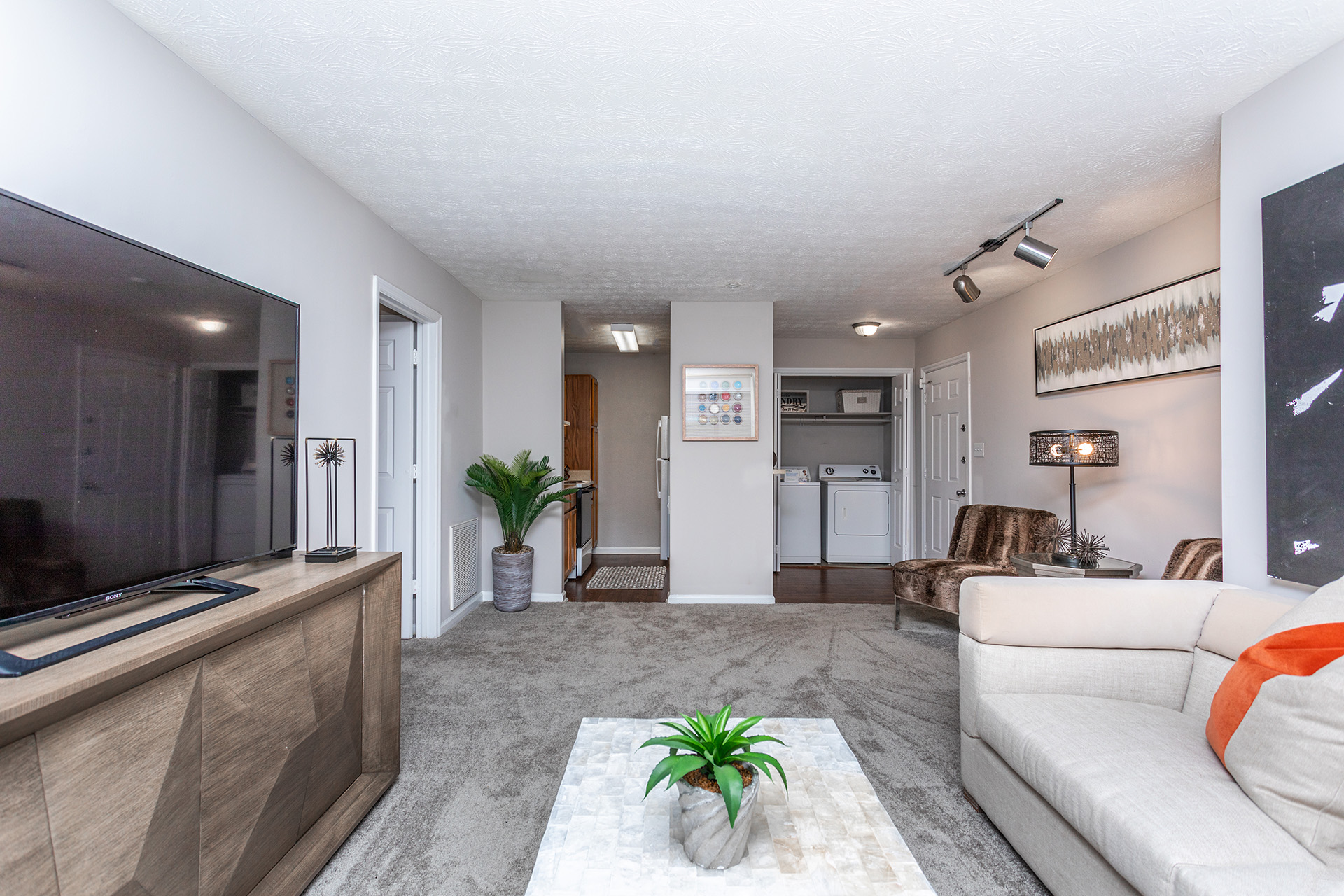 Modern Living Room in Augusta Commons Apartments