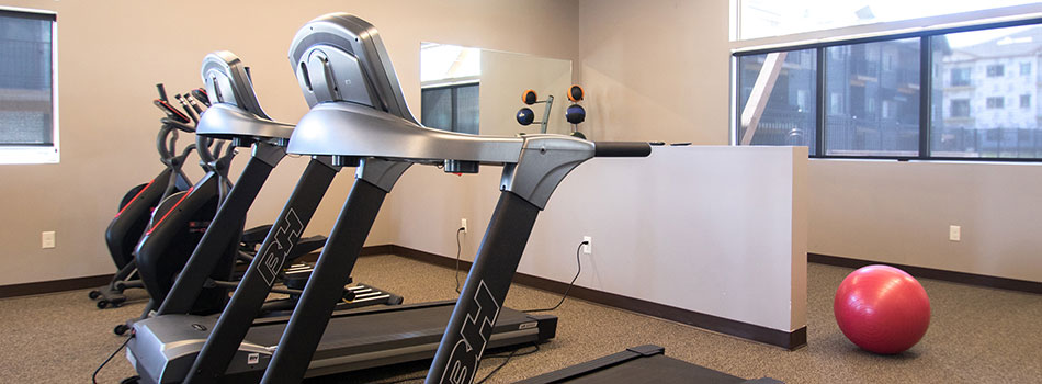 Fitness Gym Equipment in Avenue 204 at Royal View