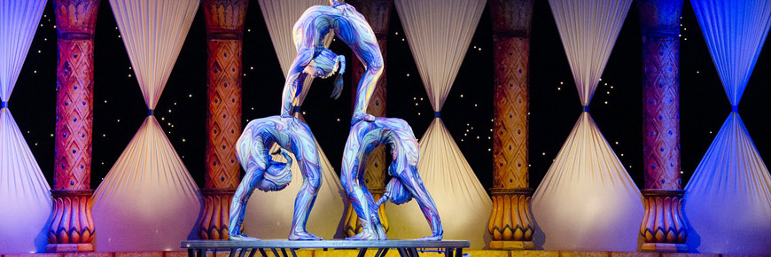Do You Love Reality Competition Shows? See the Spectacle Live During A Magical Cirque Christmas  Cover Photo