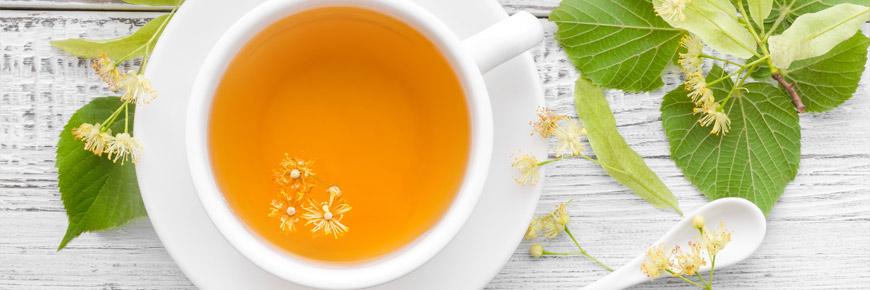 Drink to Your Health: The Many Benefits of Green Tea  Cover Photo