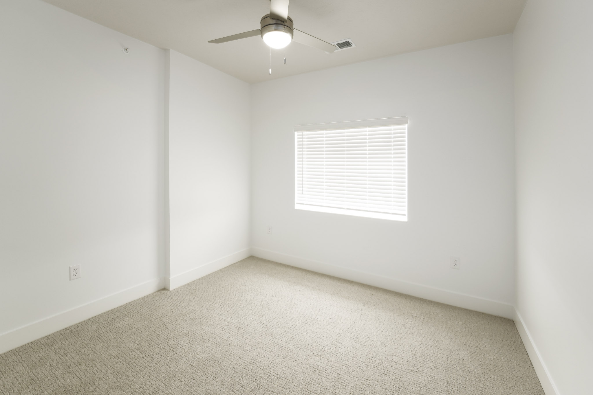Carpeted bedroom featuring ceiling fan, large window, and neutral wall finishes.