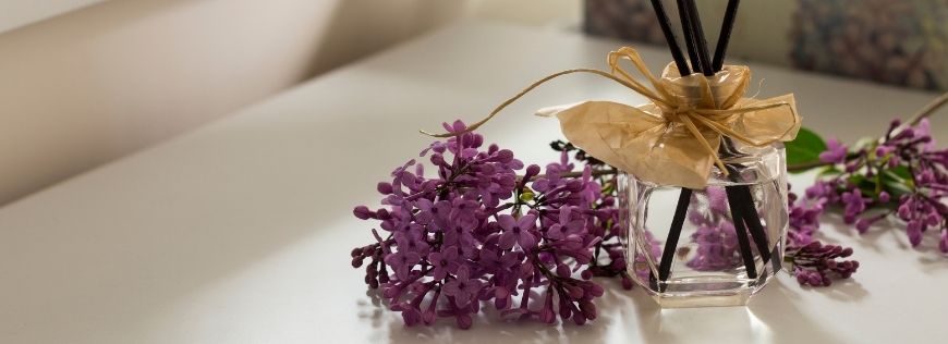 Try One of These Natural Scents in Your Apartment Home to Appeal to Your Senses Cover Photo