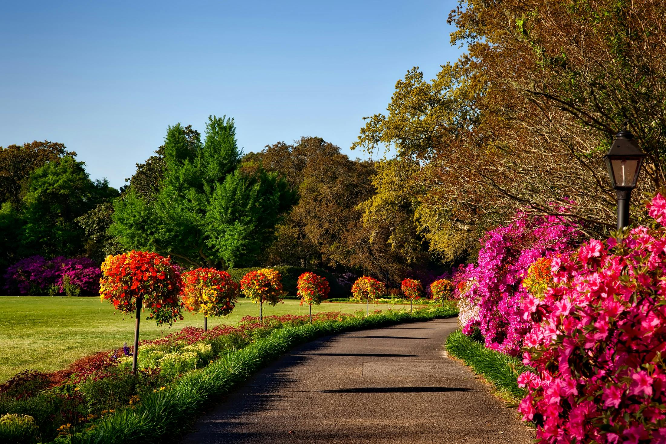 Image for The Ultimate Guide to Poughkeepsie’s Best Parks and Green Spaces