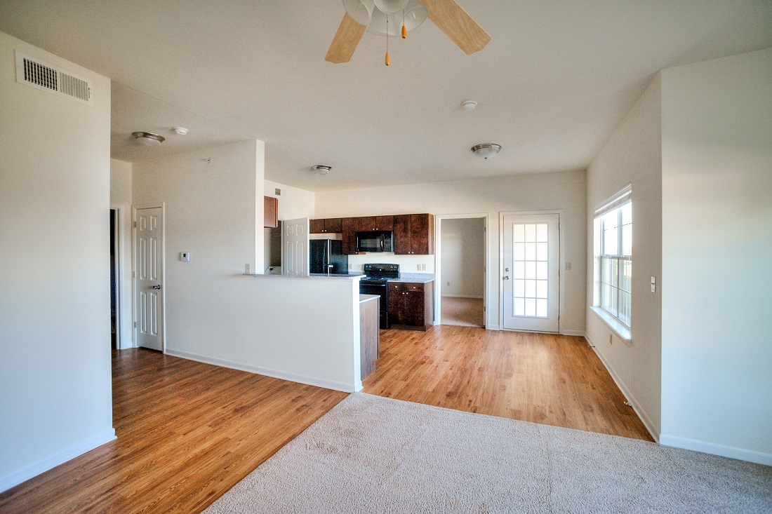 Wood look flooring and plush carpeting in kitchen and living area