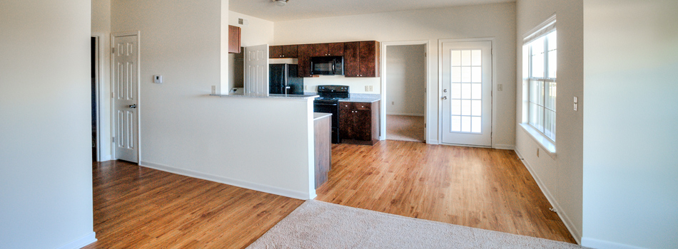 Wood look flooring and plush carpeting in kitchen and living area