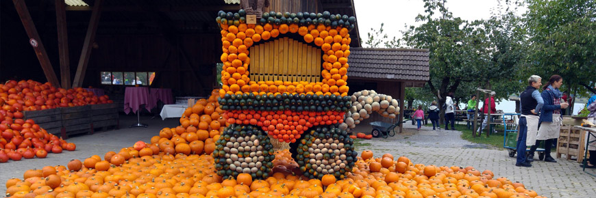 This Peanuts-Themed Pumpkin Wonderland Will Get You in the Mood for Fall Cover Photo