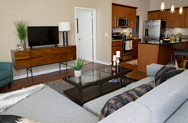 Living Room at Domain City Center Luxury Apartments in Lenexa, Kansas