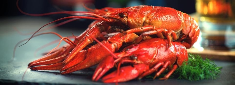 Here Is Where to Get Your Boiled Crawfish Fix in Houston, Texas! Cover Photo