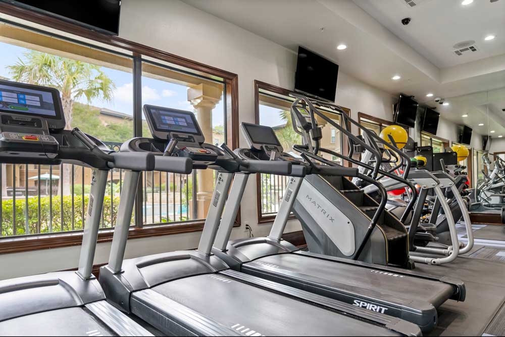 Cardio zone with treadmills and elliptical machines facing large windows with pool and palm tree views in modern gym space