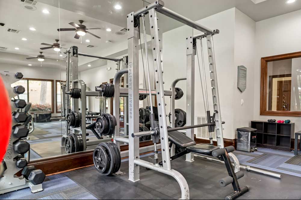 Strength training area with squat rack, weight plates, adjustable bench, and full wall mirrors in bright apartment fitness room