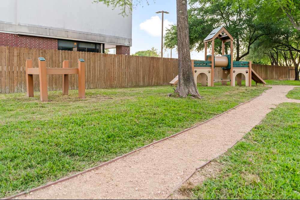 Dog park with agility equipment, open grassy space, wooden fence, and winding path lined with trees and seating areas