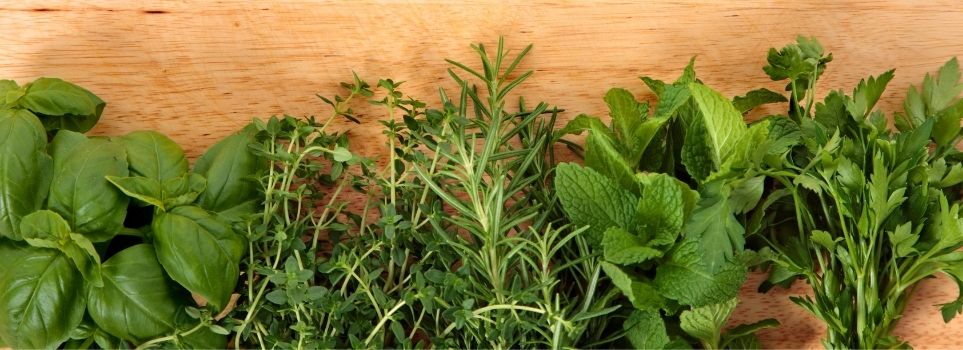 Have a Lot of Leftover Herbs? Here Is How to Preserve Them With Oil or Butter Cover Photo
