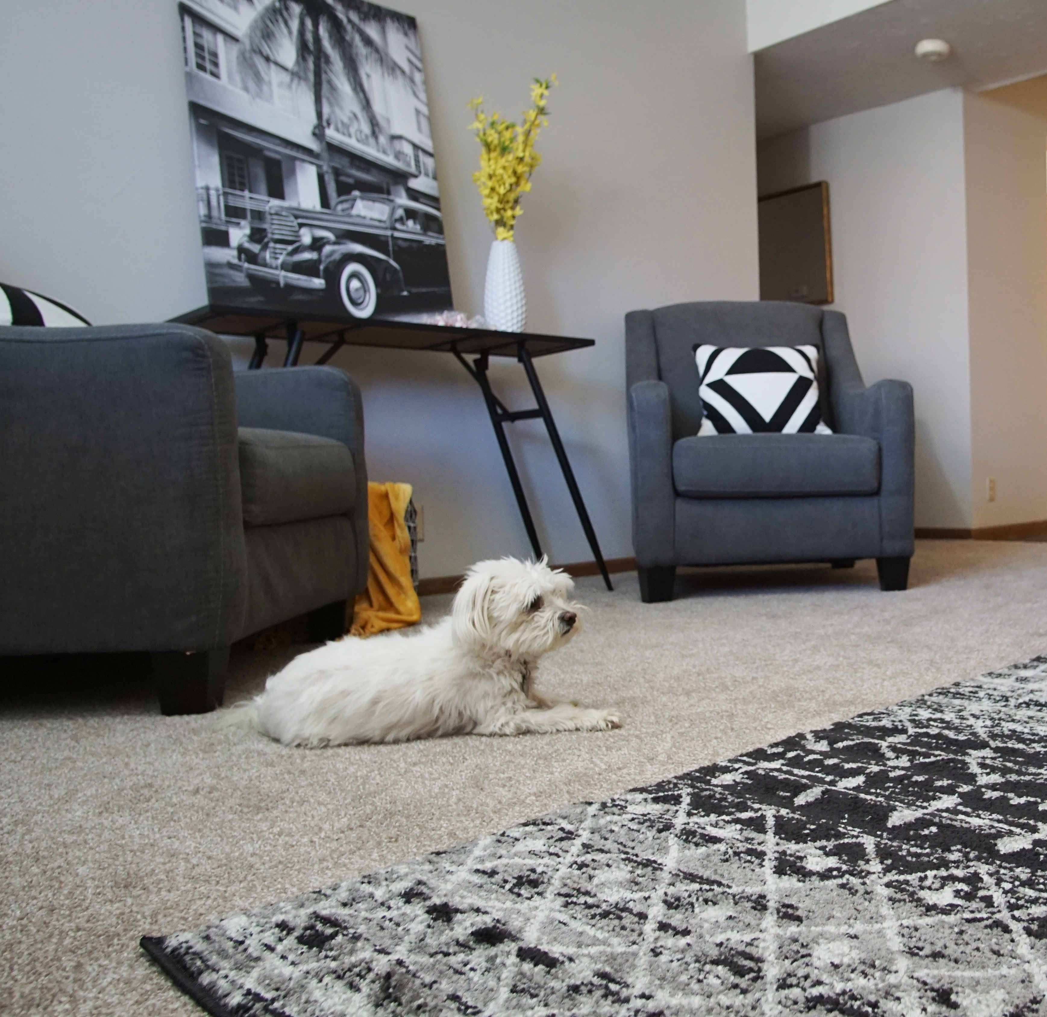 Fairlane at Aksarben