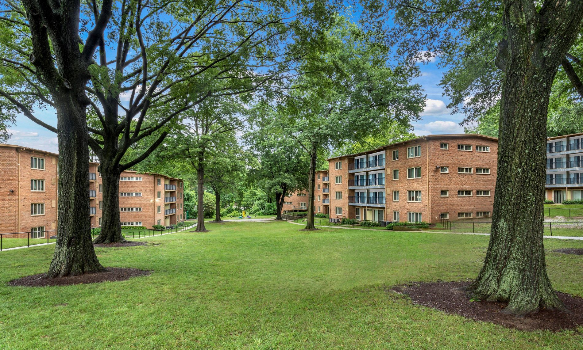 Spacious Green Space in Flower Branch Apartments