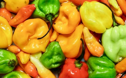 Hot Sauce Day! Cover Photo