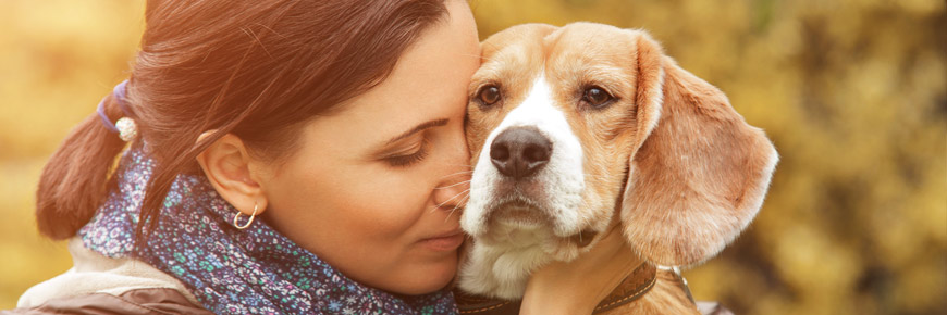 Here Are Three Benefits You Might Have Not Known About Pet Ownership Cover Photo