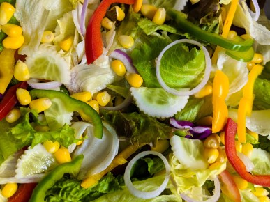 Get Ready for Warmer Weather with Delicious Cold Salads! Cover Photo