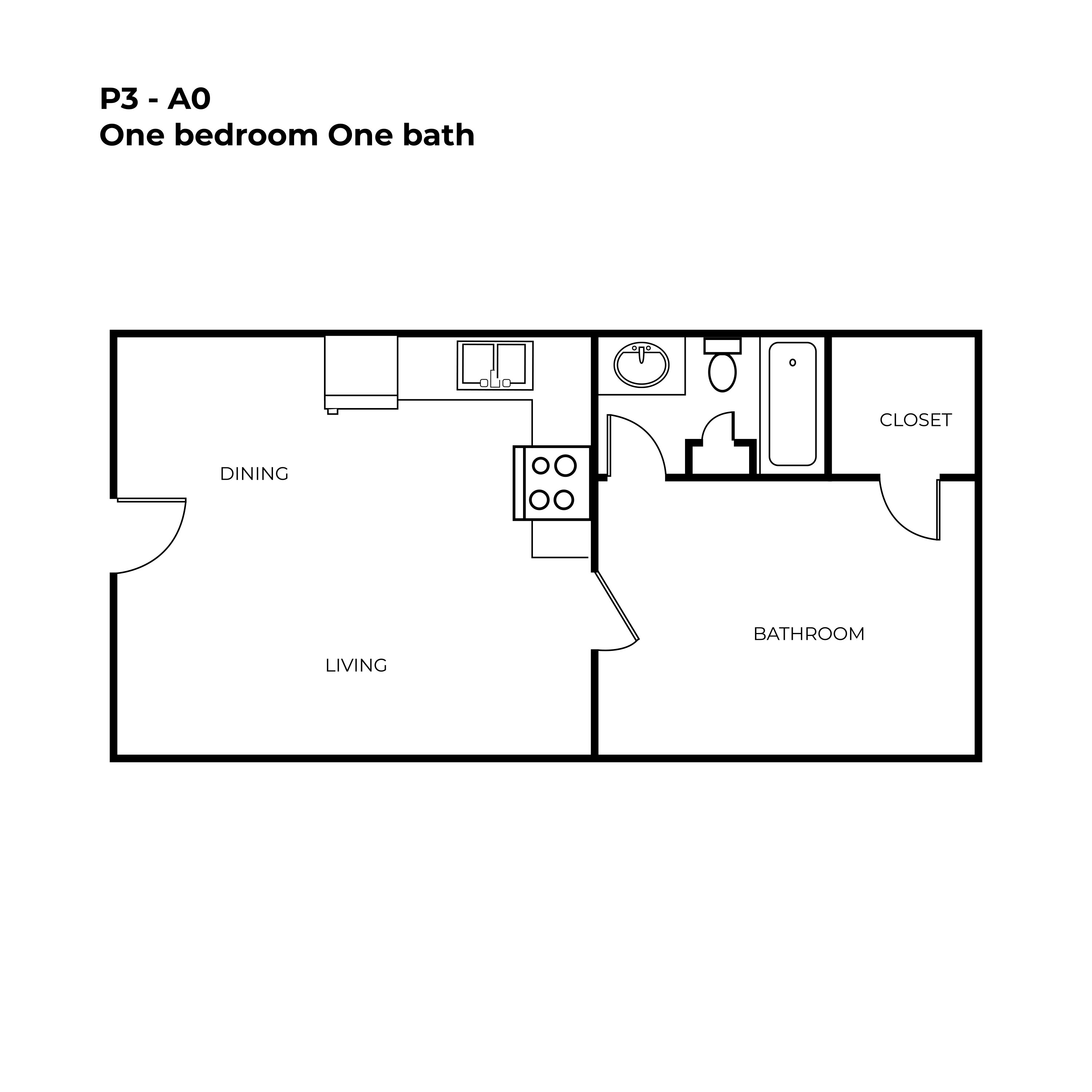 North Star Apartment Homes - Floorplan - A0