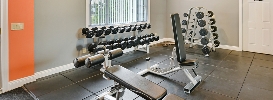 Gym Equipments lined up in the Fitness Center at Forest Meadows Apartments