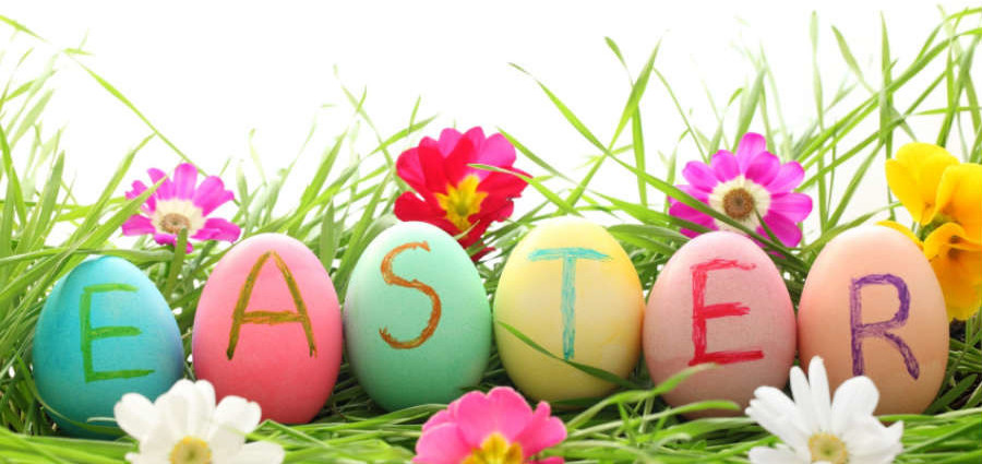 Easter Fun! Cover Photo
