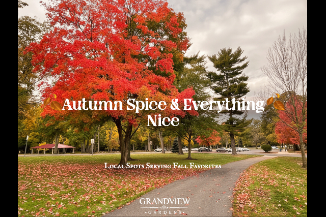 Image for 🍂 Autumn Spice & Everything Nice: Local Spots Serving Fall Favorites 🍂