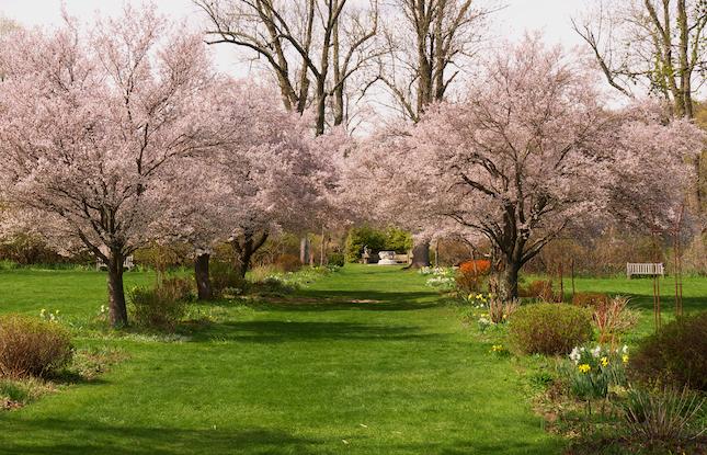 10 WAYS TO LOVE SPRING IN NEW JERSEY Cover Photo