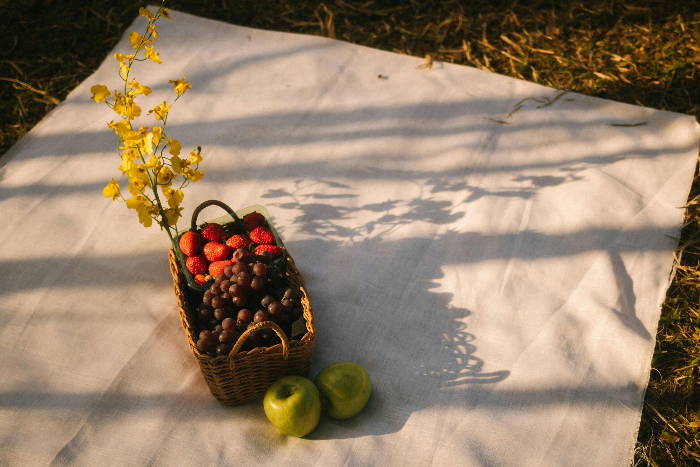 Image for Edison Parks You’ll Love: Perfect for Summer Strolls and Picnics