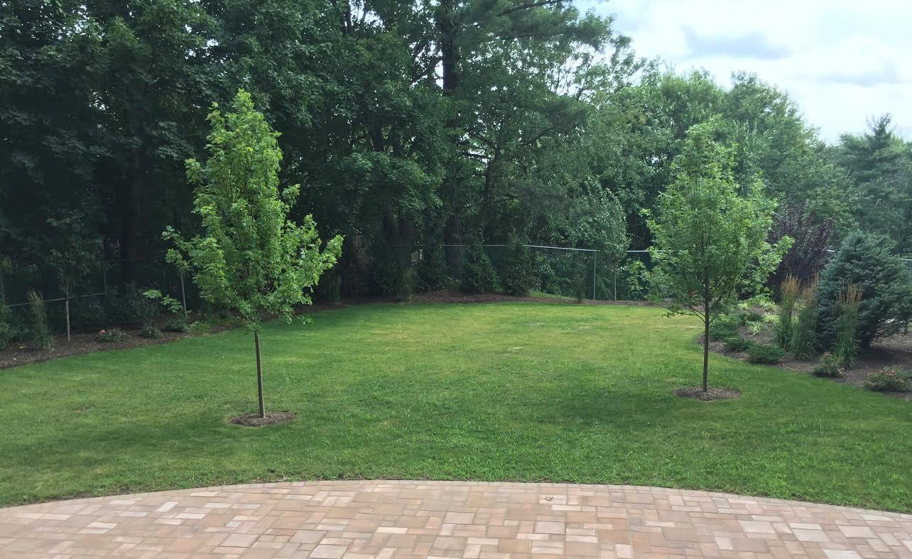 Scenic Outdoor Views at Grandview Gardens Apartments
