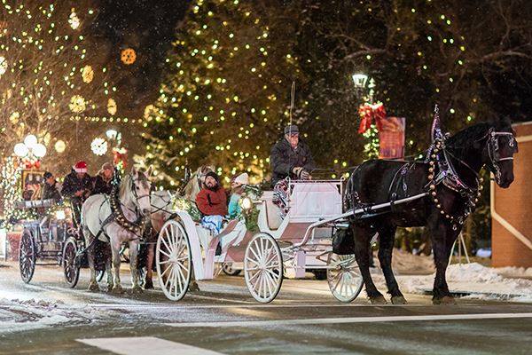 Horse and Carriage Rides Cover Photo