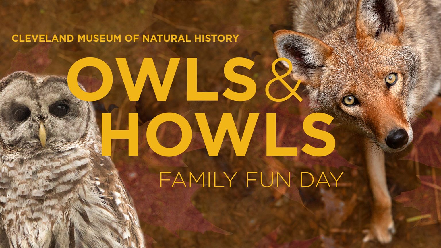 Owls & Howls Cover Photo
