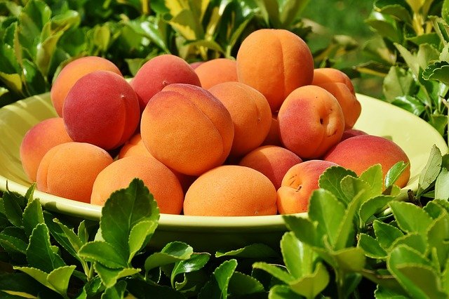 National Peach Melba Day Cover Photo