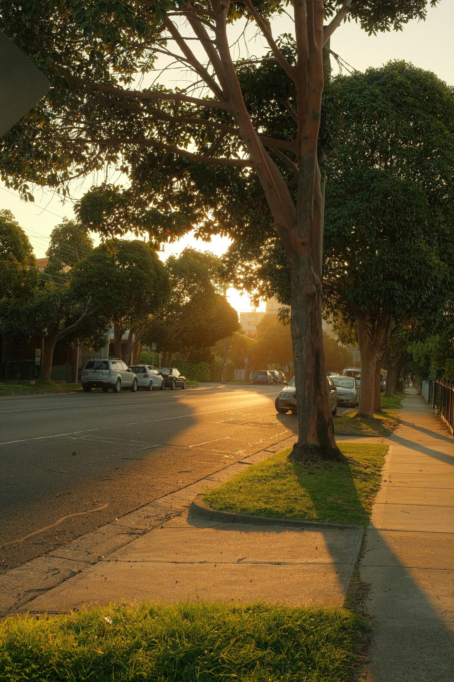 Image for Why Middlesex is the Perfect Suburban Escape