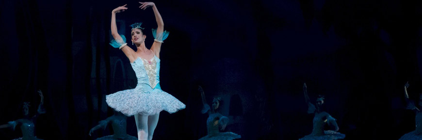 Spend Your Christmas Eve with the Carolina Ballet    Cover Photo