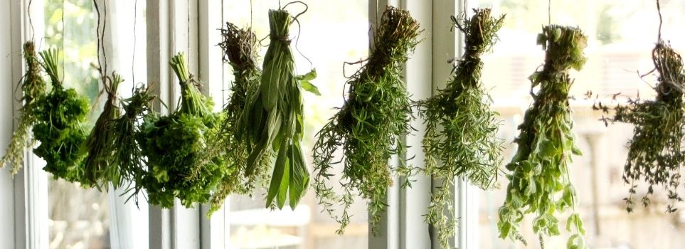 Image for These Herbs Freeze Well – and Here Is How to Do It