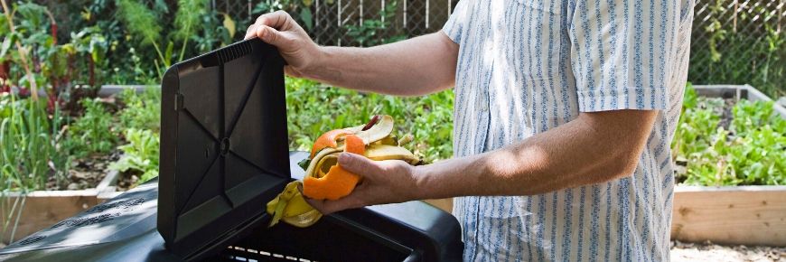 Here Is What You Should Know Before You Get Started with Composting Cover Photo