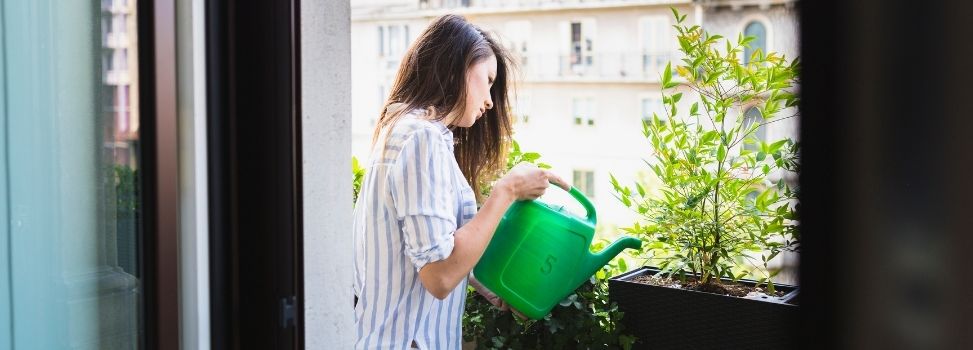 Nurture Your Green Thumb Despite Limited Outdoor Space with These Container Gardening Tips Cover Photo