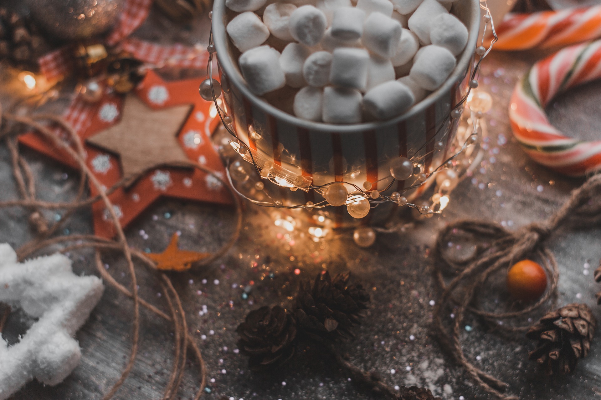 10 TIPS TO MAKE YOUR HOME COZY FOR THE HOLIDAYS Cover Photo