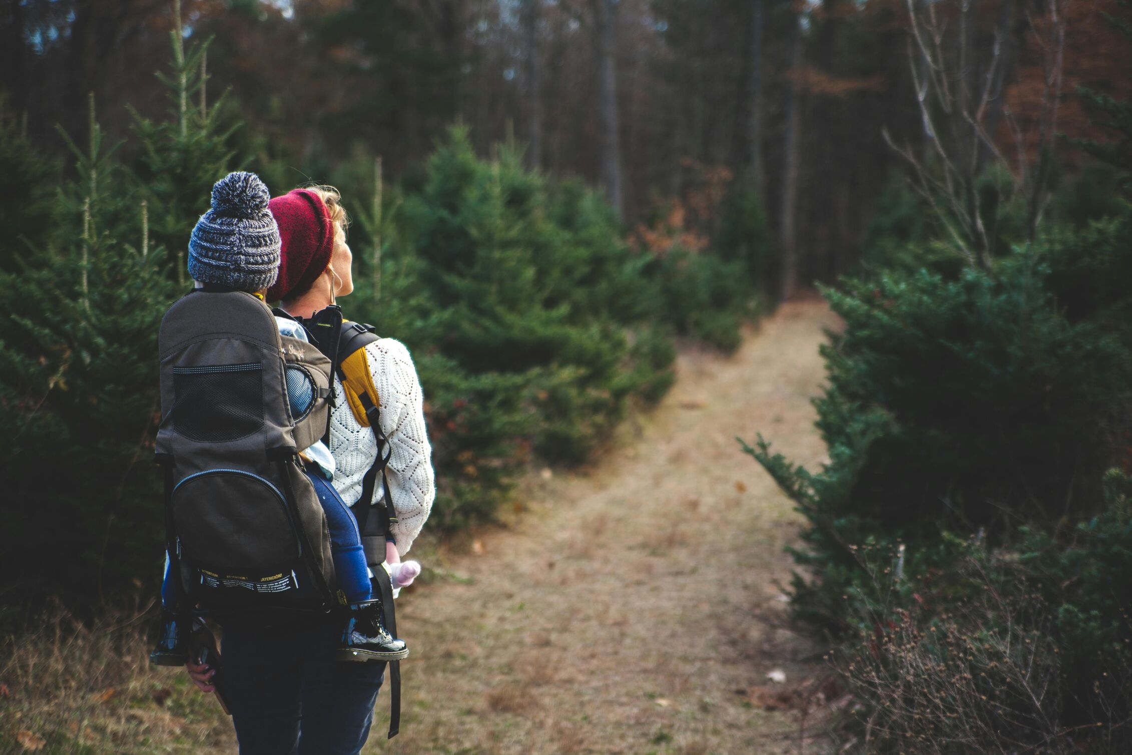 Image for Nature Trails Near Livingston Gardens: Perfect for Hiking and Biking