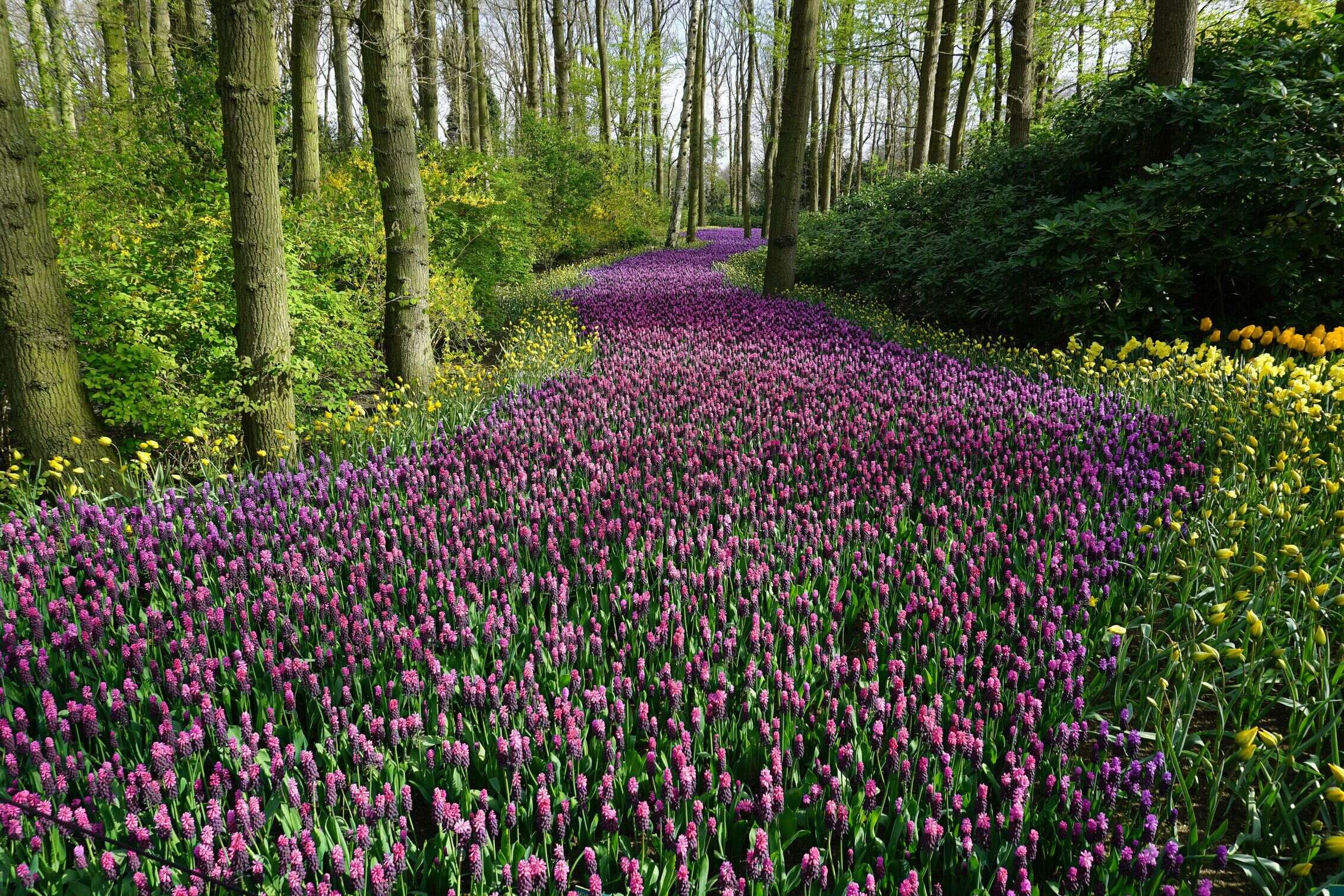 Image for Top Scenic Views in North Brunswick: Where to Take the Best Photos