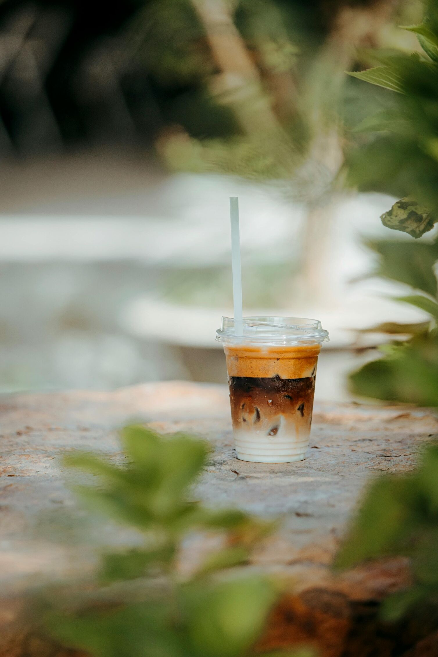 Image for The Best Outdoor Cafes and Patios in North Brunswick