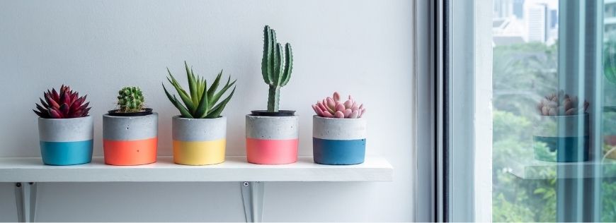 Need More Space for Your Plants? This DIY Project for Lightweight Concrete Planters Will Help! Cover Photo