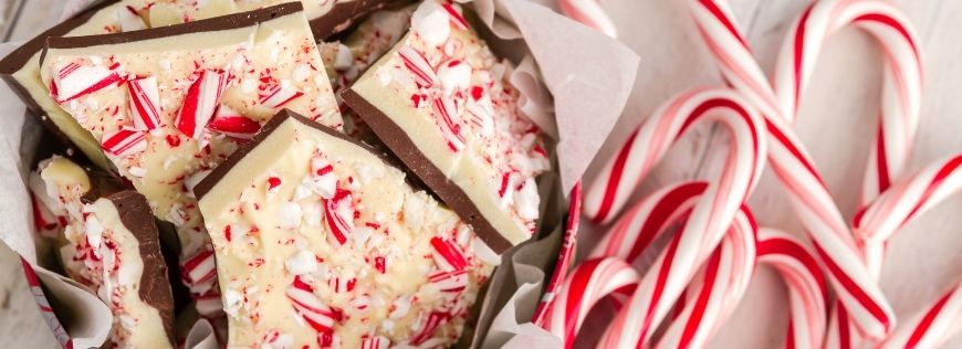 Go Out with a Bang This Holiday Season and Make This Recipe for Peppermint Bark  Cover Photo