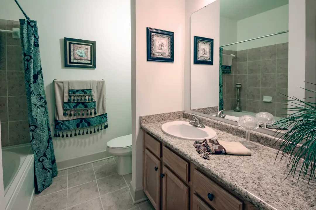 Bathroom Vanity at Mainstreet at River Ranch Apartments in Lafayette, LA