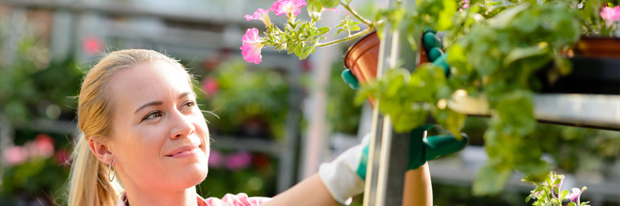Create a Garden – Even with Limited Outdoor Space – By Using These Helpful Tips Cover Photo